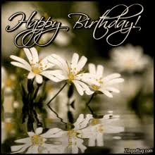We did not find results for: Happy Birthday Flowers Gifs Tenor