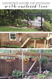 We have 4 cats and live on a busy street. Connected Outside Cat Enclosures With An Enclosed Tree Cuckoo4design Outside Cat Enclosure Diy Cat Enclosure Outdoor Cat Enclosure