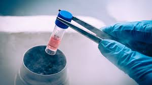Steps to Validate a New Cell Line for Research Use - Atlantis Bioscience  Pte Ltd