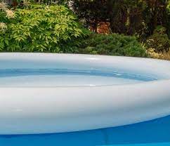 Plantes médicinales oubliées, au nom évocateur. Piscine Eau Chloree Peut On Utiliser L Eau Pour Arroser Les Plantes