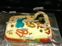 Plant cell labeled supplier, you will not be disappointed with the premium products and services offered at the site. Cookie Cake Plant Cell Shefalitayal