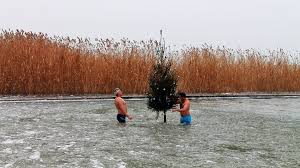 A strand szigliget déli részén található. Weihnachtsbaum Im Balaton In Szigliget Wunderbarerbalaton De