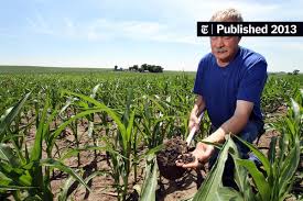 We did not find results for: Misgivings About How A Weed Killer Affects The Soil The New York Times