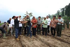 Triswanto, petani tomat di lereng merapi, boyolali, jawa tengah terpukul dengan harga jual yang petani lain di lereng merapi, jono. Mentan Beri Bantuan Benih Kentang Untuk Petani Das Citarum Republika Online