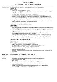 Organizer Resume Samples Velvet Jobs