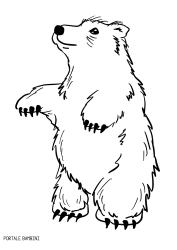 Disegni Di Orsetti E Orsacchiotti Da Stampare E Colorare Portale Bambini Bears Coloring Coloringpages Coloringinspiration Disegni Colori Disegni A Mano