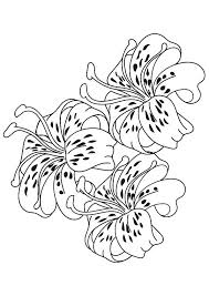 Maybe you would like to learn more about one of these? Pin On Redwork Embroidery