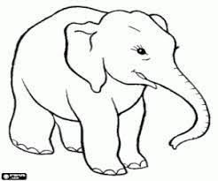 Colorear Elefante Contento Elefantes Para Colorear Paginas Para Colorear Y Dibujos