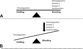 Image result for Protein C Deficiency