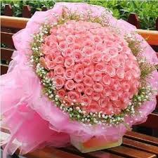 There are various, flowers dp for whatsapp in this article which would look very glamorous as a profile picture. Beautiful Flower Quote Dp Images Whatsapp Images