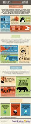 How We Re Endangering Animals Infographic Animal Infographic Endangered Animals Endangered Animals Infographic
