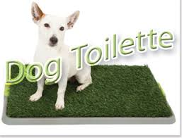 Das Hundeklo Fur Ihren Welpen Oder Erwachsenen Hund Tiere Hunde Welpen