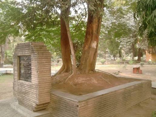 File:The tree at whose platform Azad shot himself.jpg - Wikimedia Commons