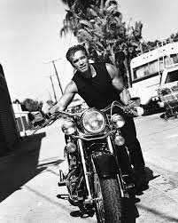 No Title Arnold Schwarzenegger Movies Arnold Schwarzenegger Schwarzenegger