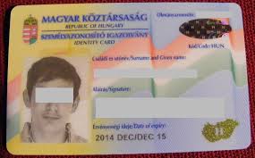 The malaysian identity card (malay: Identity Document