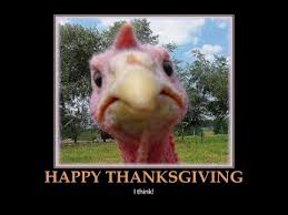 Help them relish the true spirit of this occasion. Funny Thanksgiving Pictures Youtube