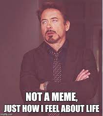 Face You Make Robert Downey Jr Meme Imgflip