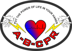 From white sox park in the historic bronzeville neighborhood. Home A B Cpr