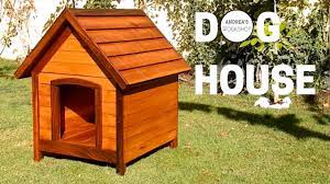 Not Cardboard Dog House With Insulation And Removable Roof Youtube