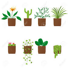 Mit schönen dekoelementen können die eigenen vier wände individuell. Blumen In Topfen Zimmerpflanze Wohnung Stil Palm Kaktus Ficus Und Andere Vektor Illustration Lizenzfrei Nutzbare Vektorgrafiken Clip Arts Illustrationen Image 65230848