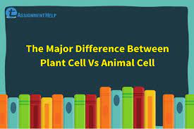 Difference between plant cell and animal cell essay. The Major Difference Between Plant Cell Vs Animal Cell Total Assignment Help