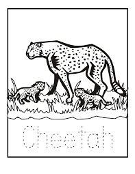 Find more coloring pages online for kids and adults of cheetah coloring sheets for kids98df coloring pages to print. Cheetah Coloring Page Animals Town Free Cheetah Color Sheet