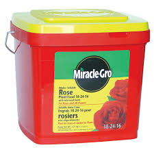 Maybe you would like to learn more about one of these? Miracle Gro 1 71 Kg Water Soluble Rose Plant Food The Home Depot Canada
