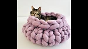 Check spelling or type a new query. Hand Knit A Cat Bed Within 30 Minutes Youtube