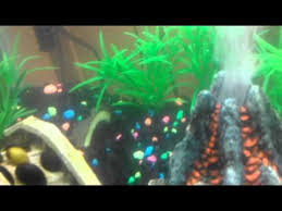 From health and fitness to retirement and money management, we're here to make your next steps easy, rewarding, and fun. Top Fin Volcano Bubbler Aquarium Ornament Fish Ornaments Petsmart