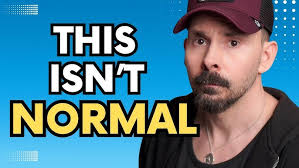 Meet the cute orange tabby kittens!