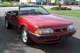 Image result for Wild Strawberry 1991 Tempo