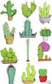 Illustration Cactus Cactus Illustration Cactus Illustration Cactus Drawing Cactus Art