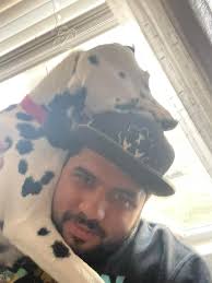 Adopted dog bonding with new owners