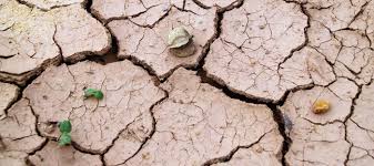 Several factors like amount and type of clay minerals, soil structure, dry density, confining pressure, moisture content and climate changes influence the. How To Grow Vegetables In Clay Soils Dave S Garden