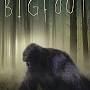 Profile Picture of Tom Burnette: books, biography, latest update - Amazon.com (@amazon.com) on Google