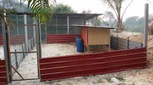 Contoh Reban Ayam Kampung