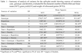 seeding density in wheat genotypes as a function of