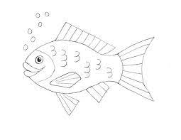 how to draw a fish drawn fish fish drawings drawings