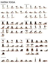yoga poses poster exercise chart yoga