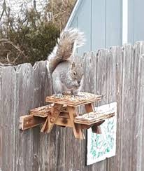 Picnic Table For Our Squirrel Friends Etsy In 2020 Picnic Table Plans Picnic Table Plan Picnic