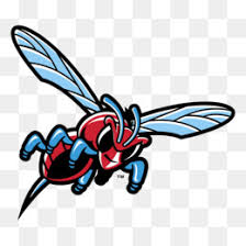 6 transparent png illustrations and cipart matching hornets logo. Sport Logo