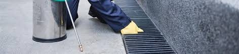 Omega termite and pest control has served the san francisco bay area for over 30 years. Pest Control San Francisco Pest Control San Francisco Ca Father Son Pest Control