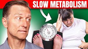 Dr. Berg Interviews Dr. Jeff Gerber About the Low Carb Denver 2020