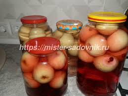компот из яблок на зиму на 2х литровую банку Kompot Iz Yablok Na Zimu V 1 5 Litrovye Banki Recept S Foto