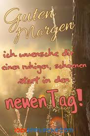 Guten Morgen 49 Bilder Fur Mein Schatz Lustig 2019 Guten Morgen Guten Morgen Bilder Guten Morgen Schatz
