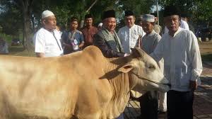 Doa setelah adzan yang umum dibaca masyarakat indonesia. Bacaan Niat Tata Cara Dan Waktu Yang Dianjurkan Untuk Menyembelih Hewan Qurban Saat Idul Adha Sriwijaya Post