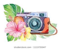 pin by mariana rmz on photography girly art hibiscus drawing sunflower canvas