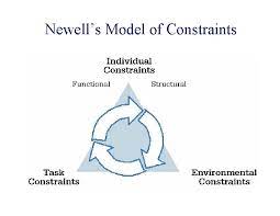 Newell's model of interacting constraints provides a useful framework for organizing our knowledge of the quiet eye. Introduction To Motor Development Human Behavior Is Not