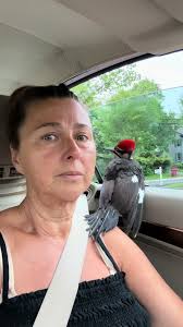 Bird Rescue Sanctuary