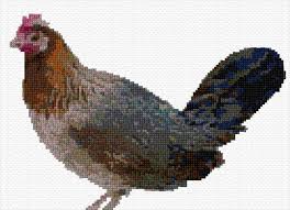 Check spelling or type a new query. Ann Logan 10 Free Patterns Online Hen 426